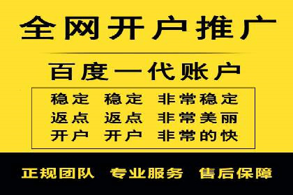 百度推广费用投入与转化率提升的经典案例